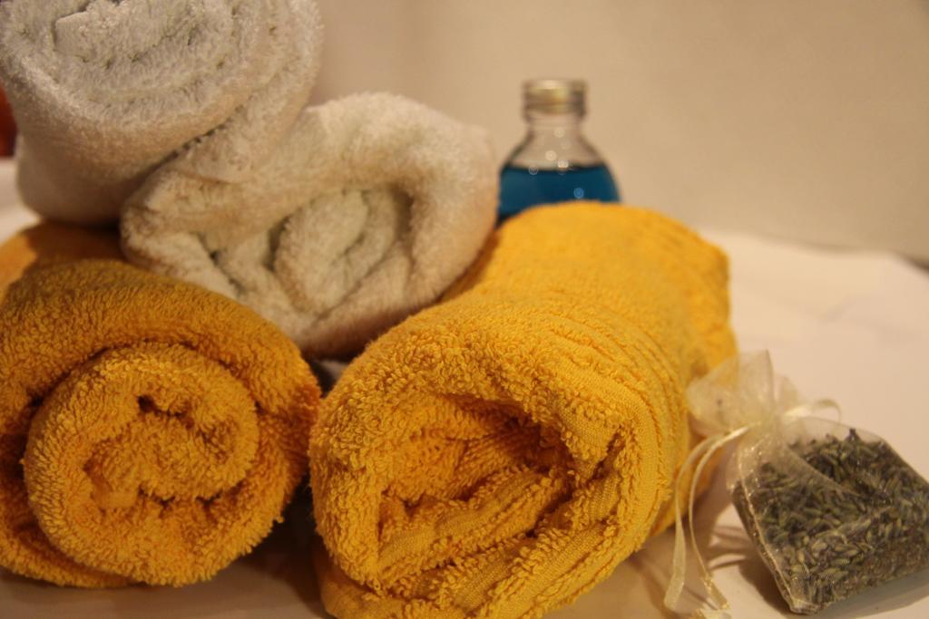 Apartment Lisinski S ザグレブ 部屋 写真